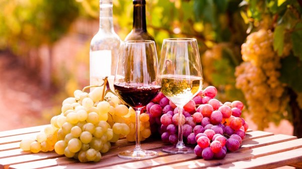 11/3 Vinprovning UPPTÄCK KROATIENS DOLDA VINPÄRLOR