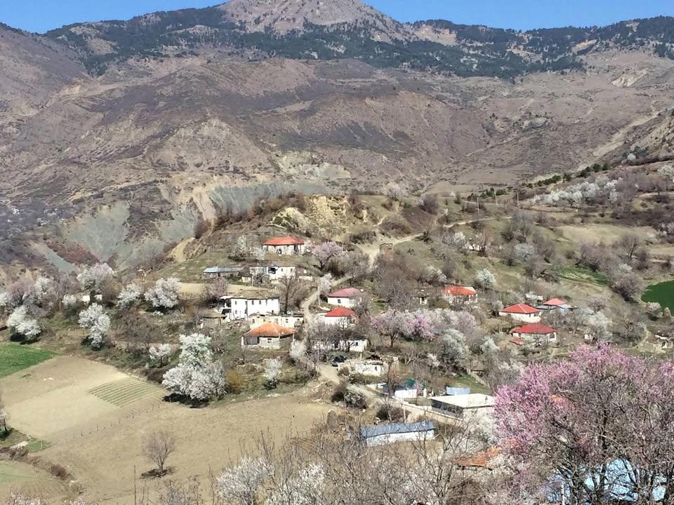 Bregu i Lisit