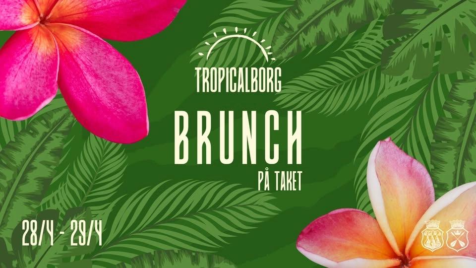 Tropicalborg - Brunch på Taket