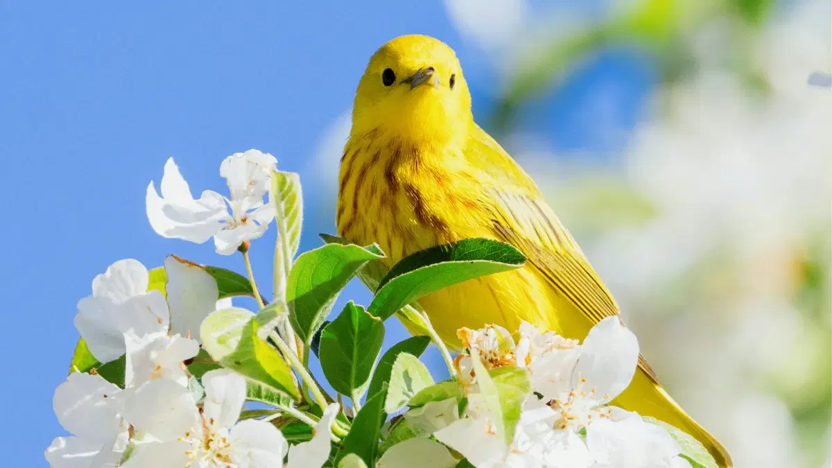 BA Stammtisch #5 - BA & RE Springbreak