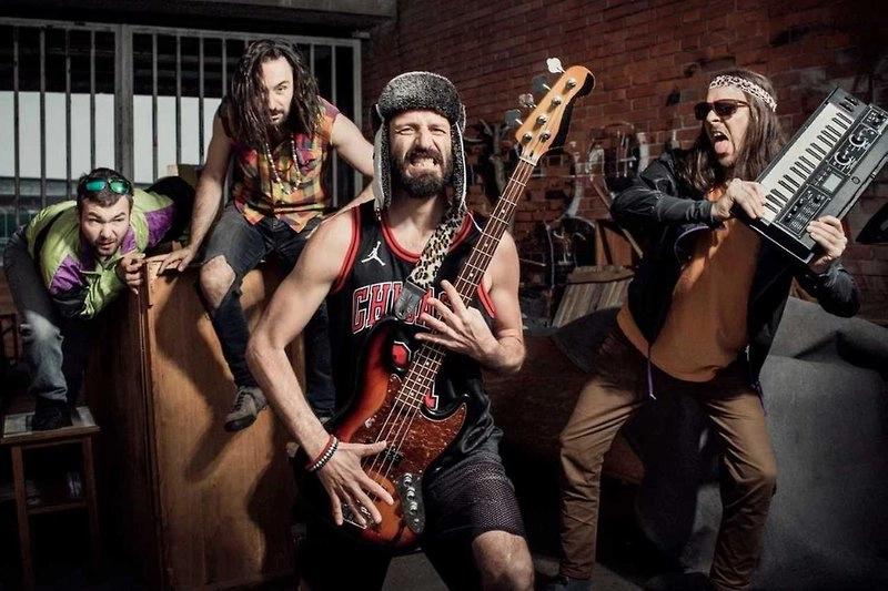 Kobra Party Band Universal