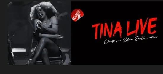 Sylvie Desgroseilliers ( Hommage Tina Tuner) au Quai en fête