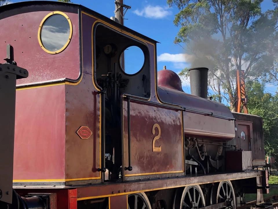 Steam Train Sunday - June
