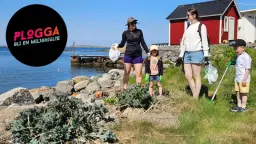Plogga- och strandstädardag 2026