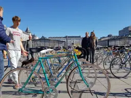 Vintage bikes from 2900 kr.