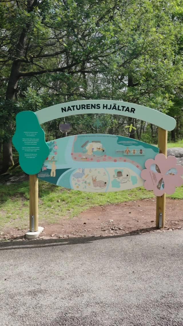Naturens Hjältar – Pollinatörsaktivitet på Barnens zoo