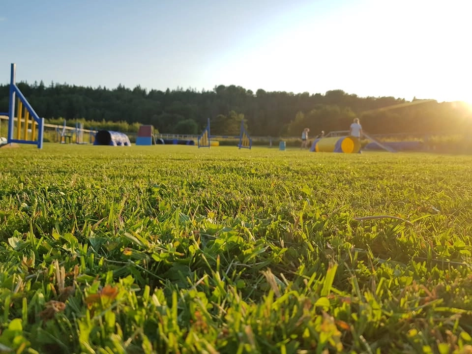 Prova på dag på UHV