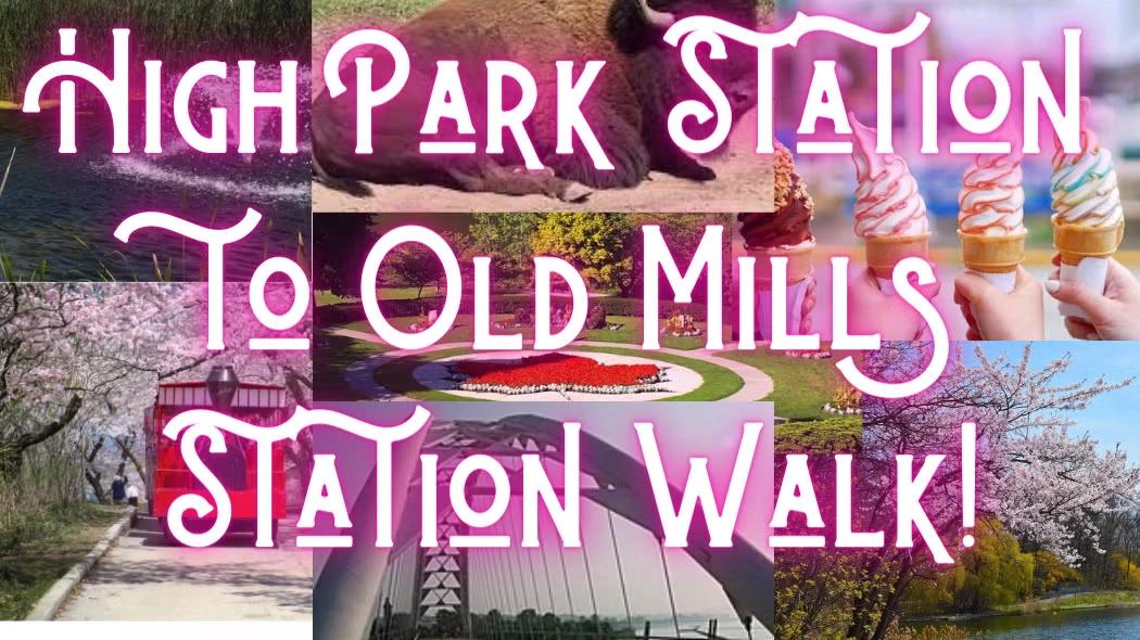 π³π HIGH PARK TO OLD MILL ADVENTURE - Stop at Tom's Dairy Freeze - 12KMπ¦πΆββοΈ