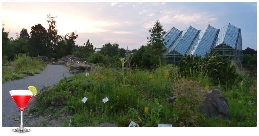 "Summerfeeling im Botanischen Garten" - Gartenführung mit Cocktail