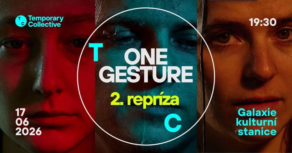Temporary Collective: 𝒪𝒩𝐸 𝒢𝐸𝒮𝒯𝒰𝑅𝐸 🤘🫵