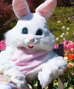 Easter Bunny Visits