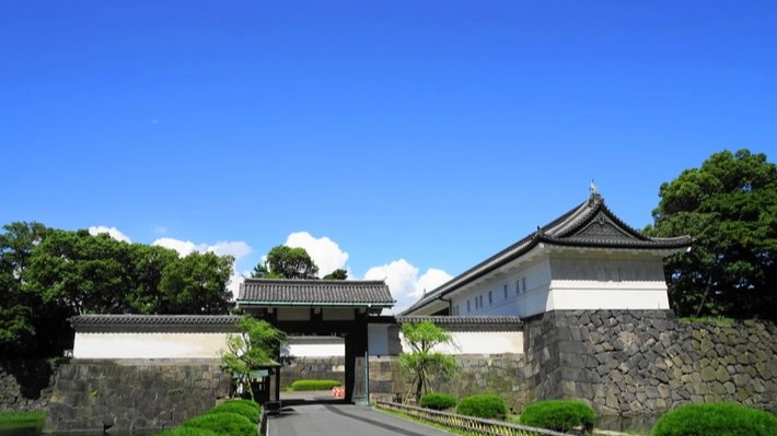 🏯🗡️ Imperial Palace & Edo Castle Walk 🚶♂️🚶♀️ Samurai History Experience