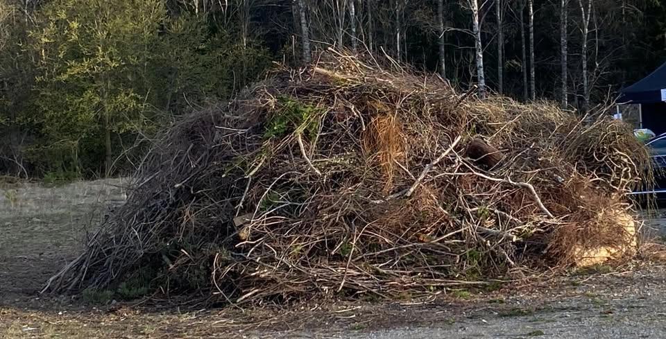 Risinsamling Mörtsjötoppen