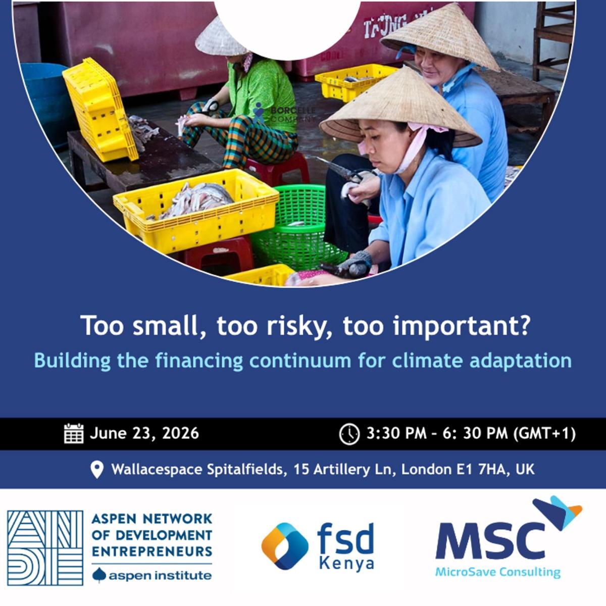 Too small, too risky, Too important? Building the financing continuum for climate adaptation