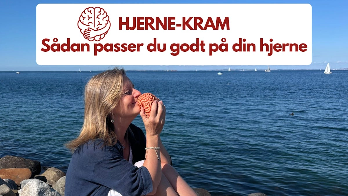 HJERNEKRAM * Sådan passser du godt på din hjerne