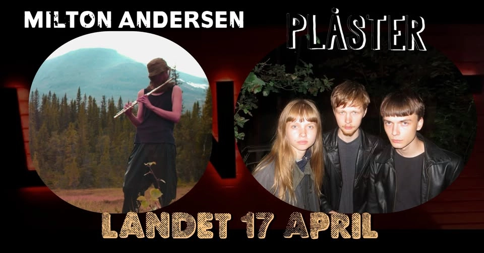Milton Andersen + Plåster