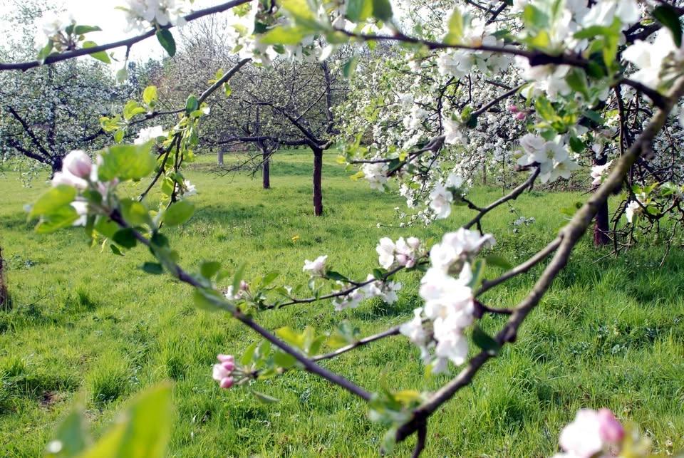Natur erleben – Tag der offenen Tür der SDW auf Gut Leidenhausen
