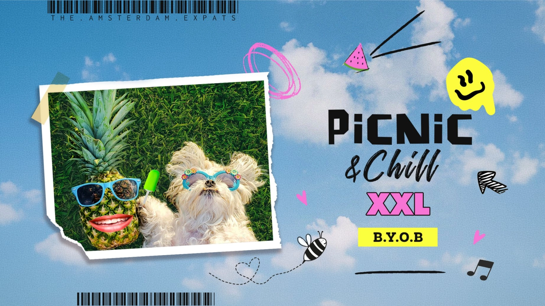 ☀️ Picnic & Chill XXL ☀️ @ Vondelpark (Communities Gathering)