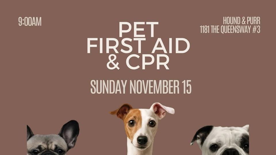 Pet First Aid & CPR
