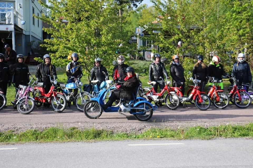 Damsvängen