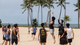 🏖️Beach Day🏐