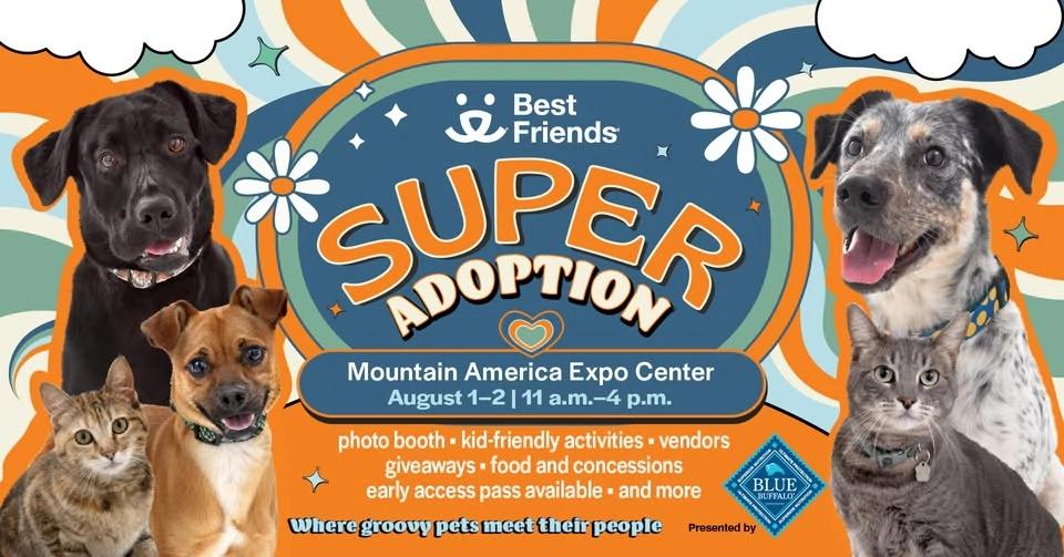SLC Super Adoption