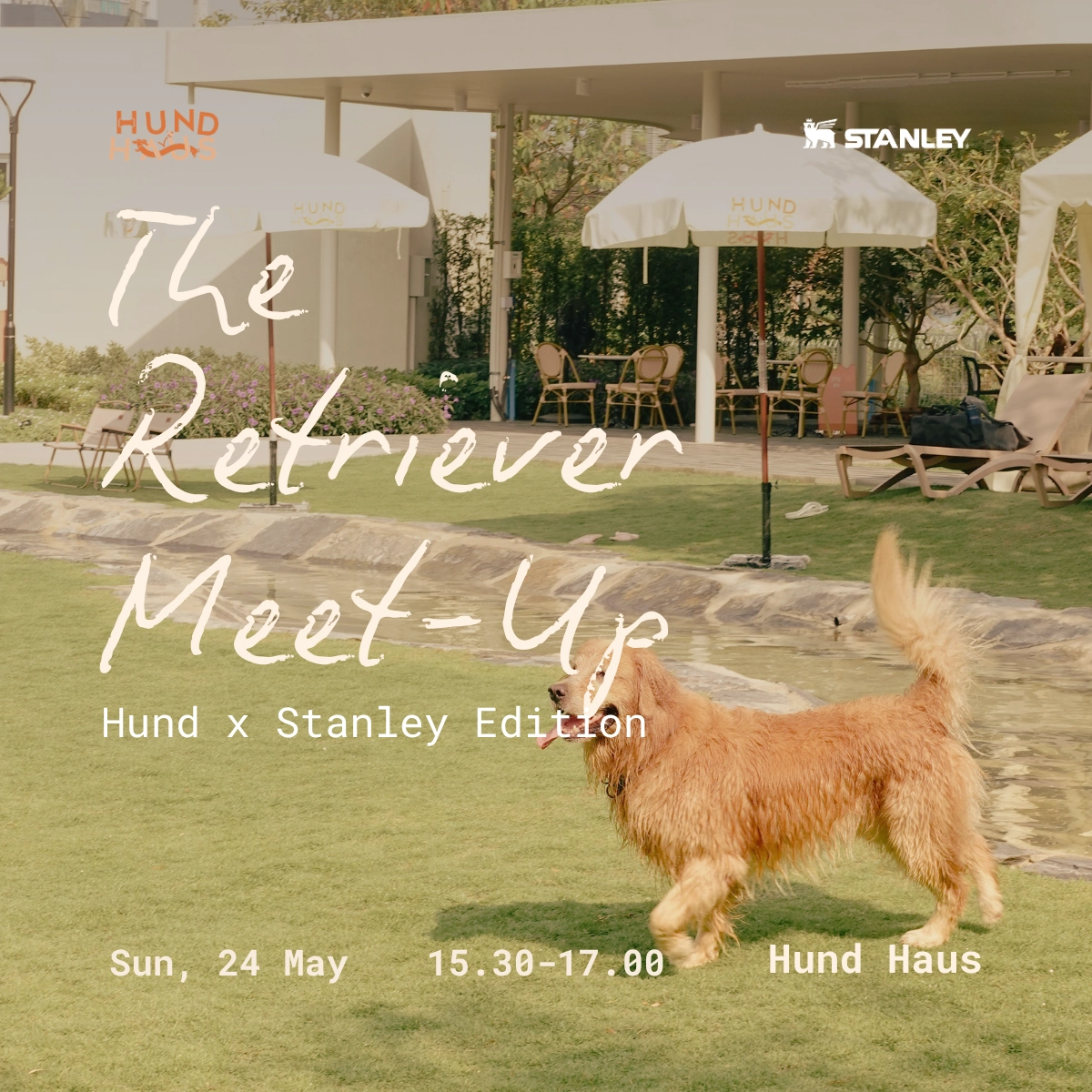 Retriever Meet-up: Hund x Stanley edition