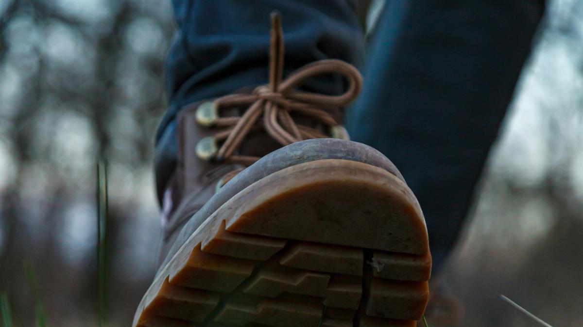 The Backwards Walk: Reverse your steps, reawaken your senses.
