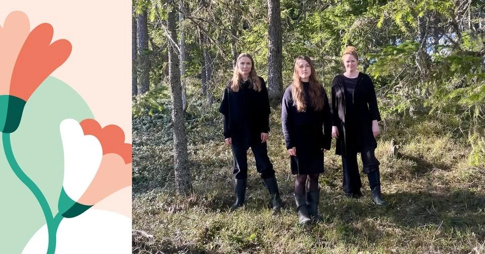 Sommarmusik med Trio Träsk "Sommarkonsert"