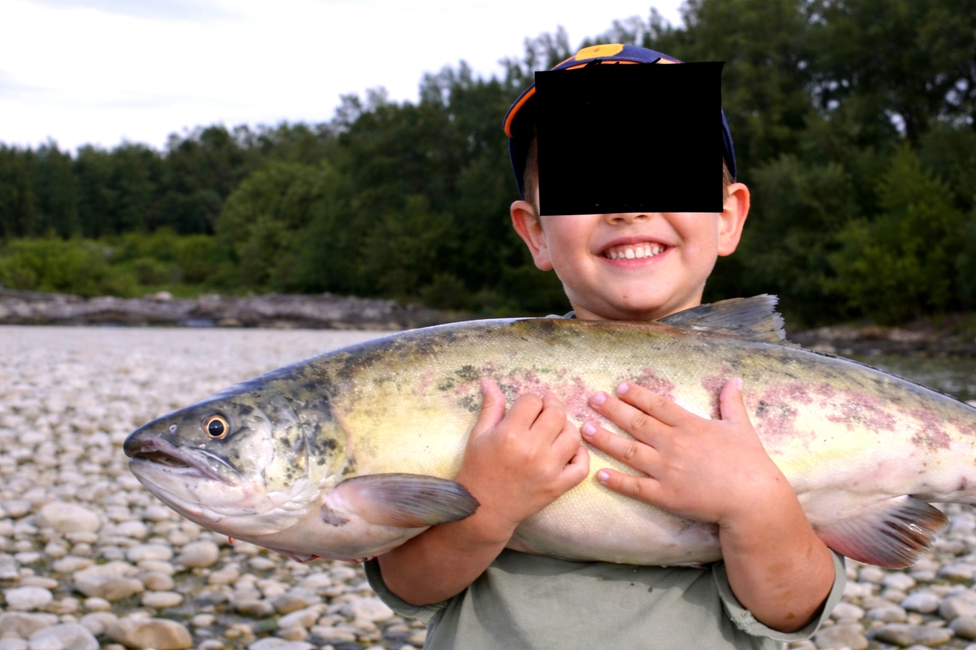 The Right Way for Fish to Die