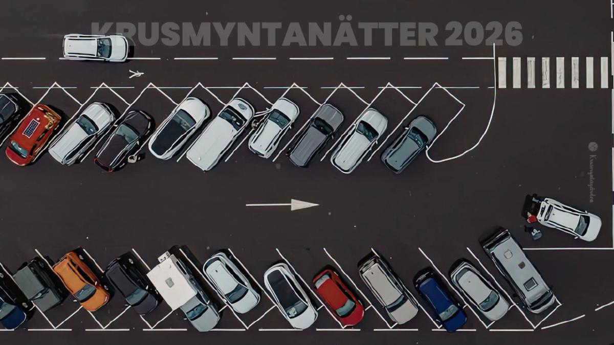 Parkering Krusmyntanätter