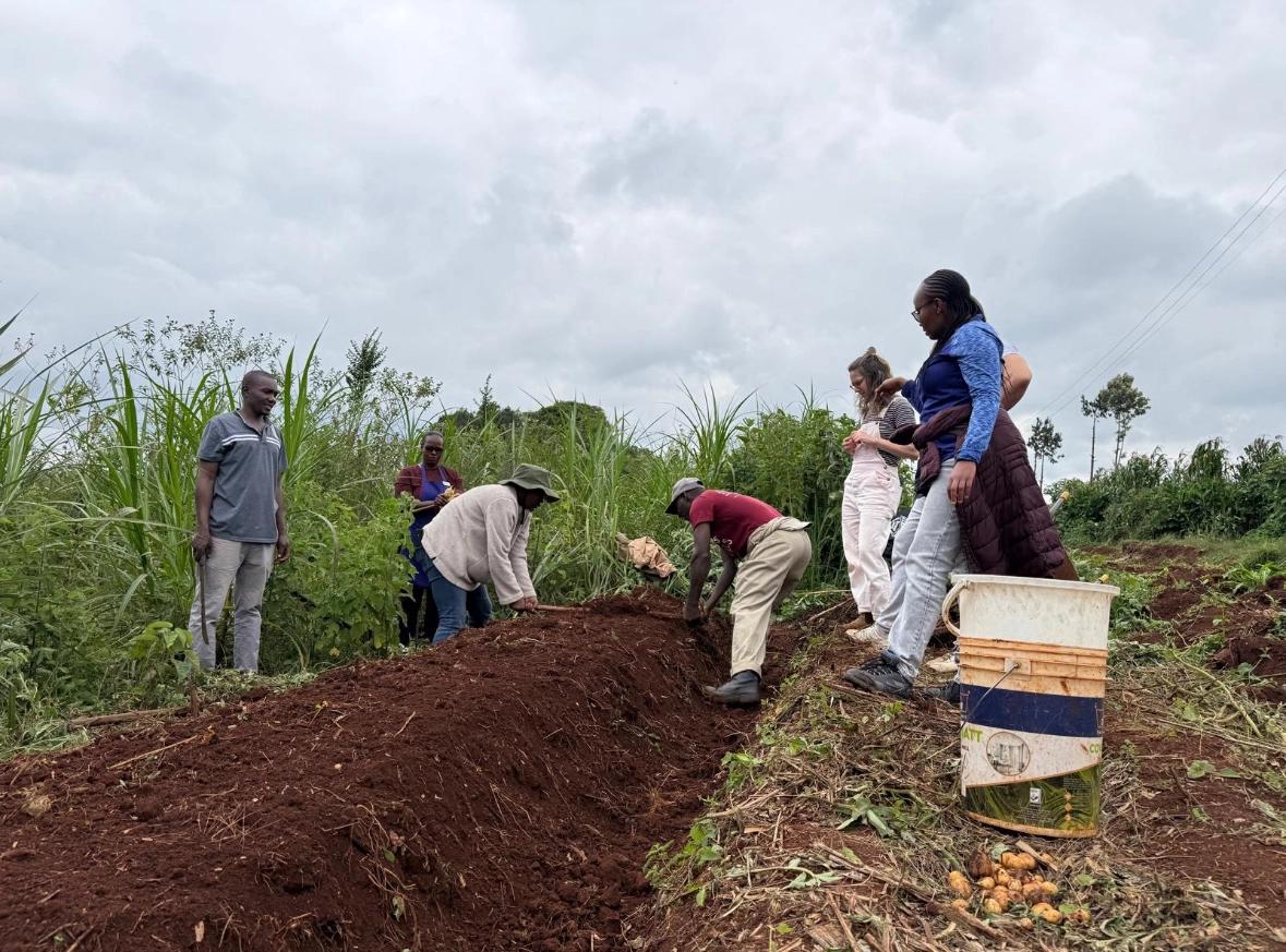 Permaculture Course, 2 - Day - with Kagwe