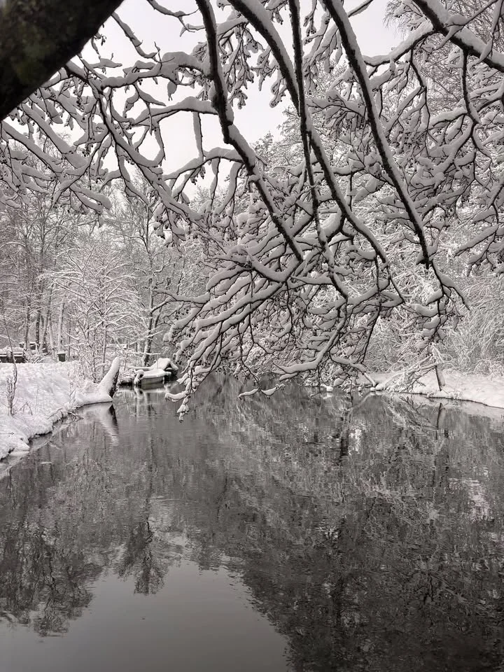 Vad händer i Stockholm idag?
