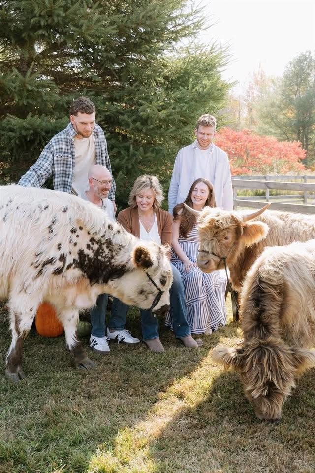 Mini Cow Mini's