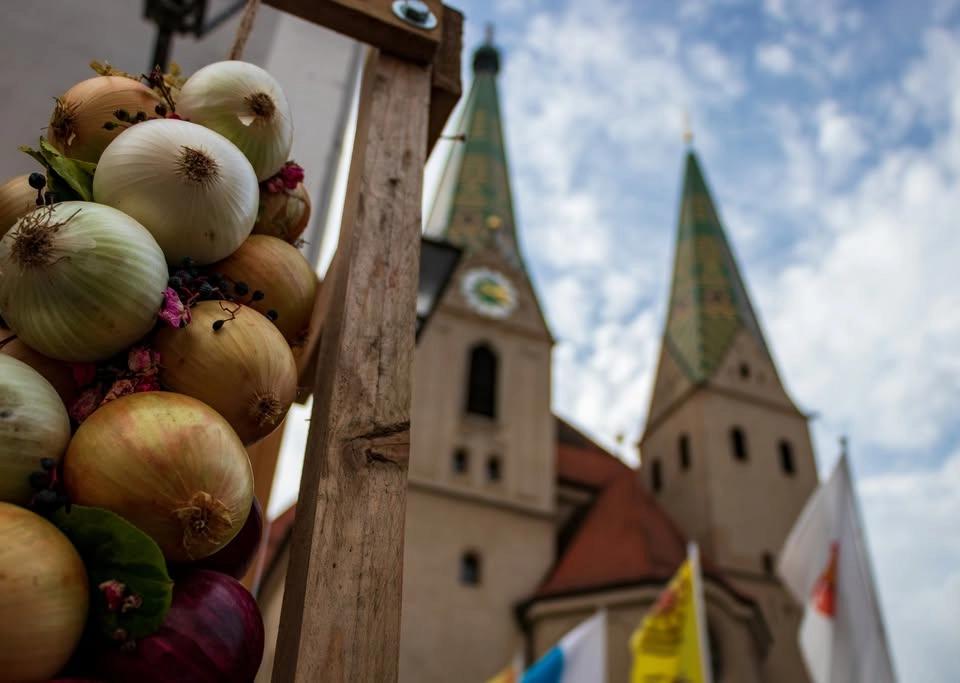 Beilngrieser Zwiebelführung "Zwiebelduft liegt in der Luft - Koa Grund zum Woana"