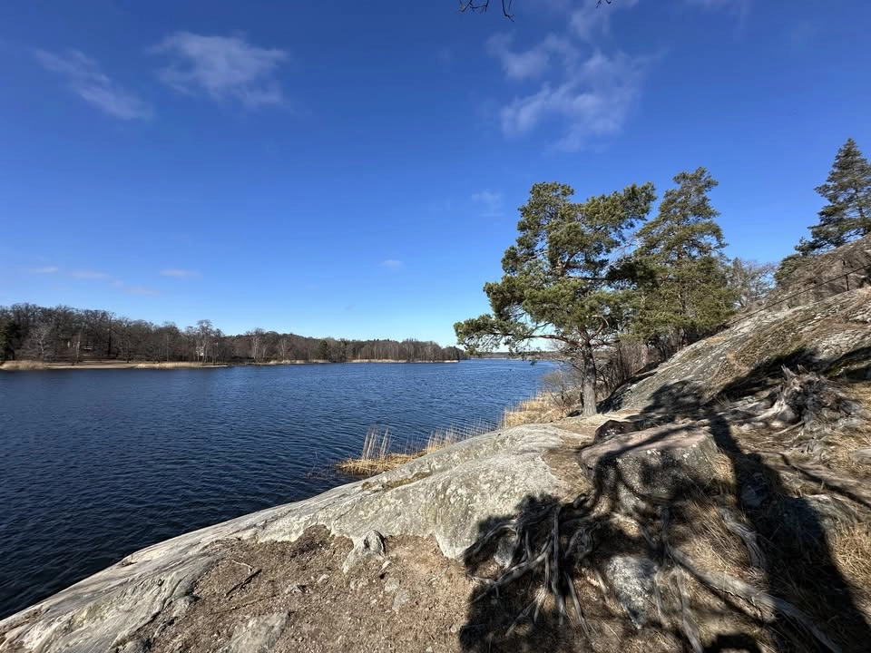Brunnsviken runt 🏃♀️➡️🤸🏼☀️