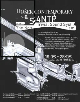 A Non-Trivial Sound System (NTSS) - Closing Performance