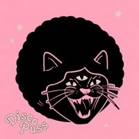 DISCO PUSS with TOUCH OF FUNK (MCR Debut)