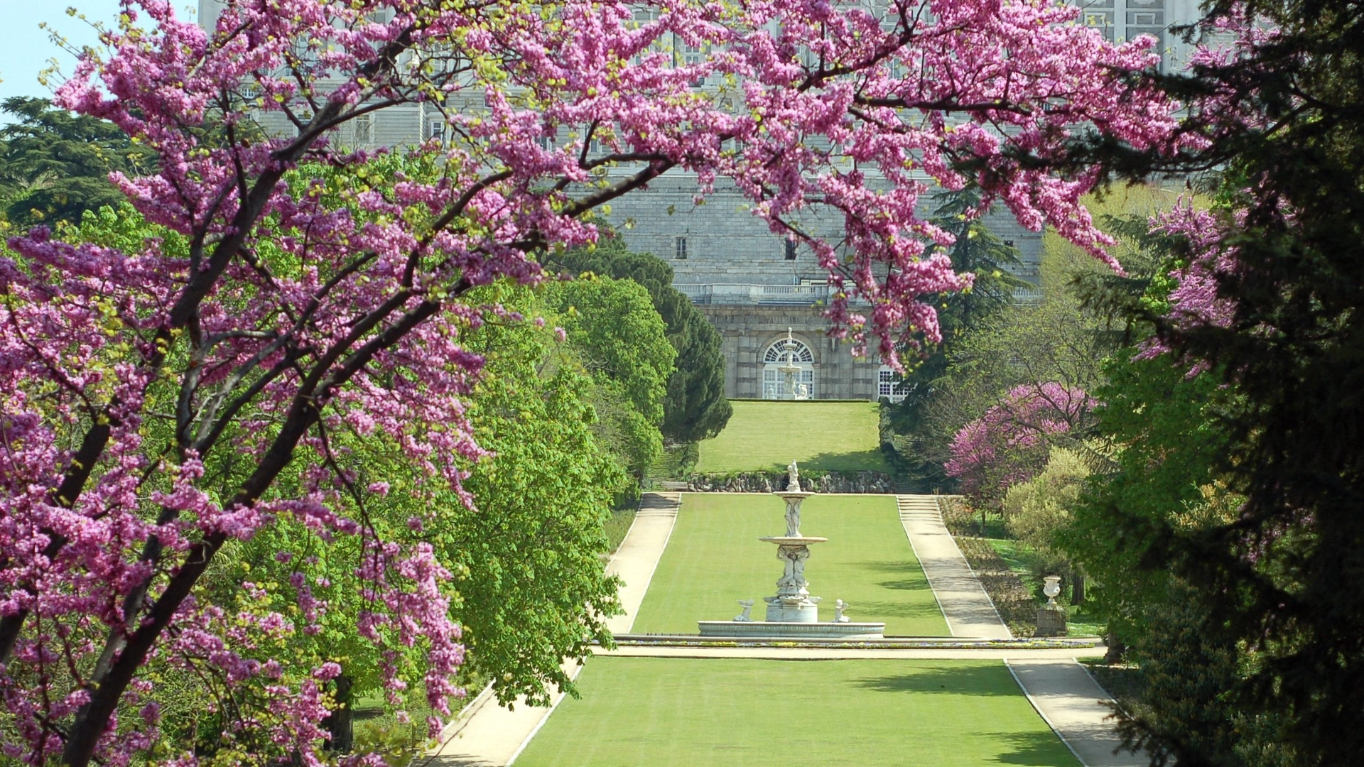 Baño de Bosque y Arpa (Shinrin Yoku)_CAMPO DEL MORO