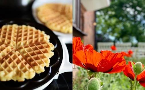 Våffelkafé i prästgårdens trädgård