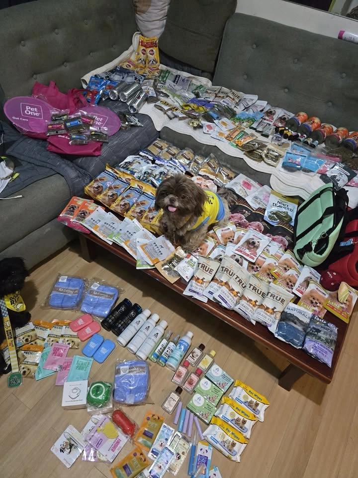 International Pet Summit 2026
