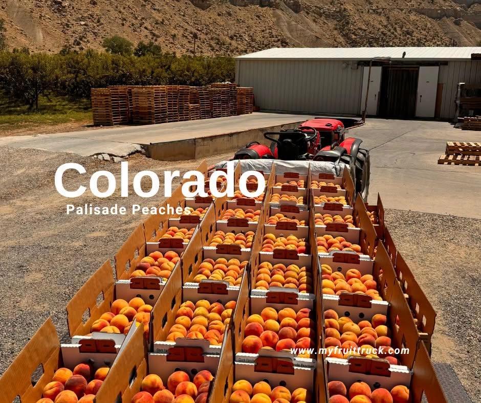 Wheaton IL 🍑Colorado Peaches Truckload Sale!