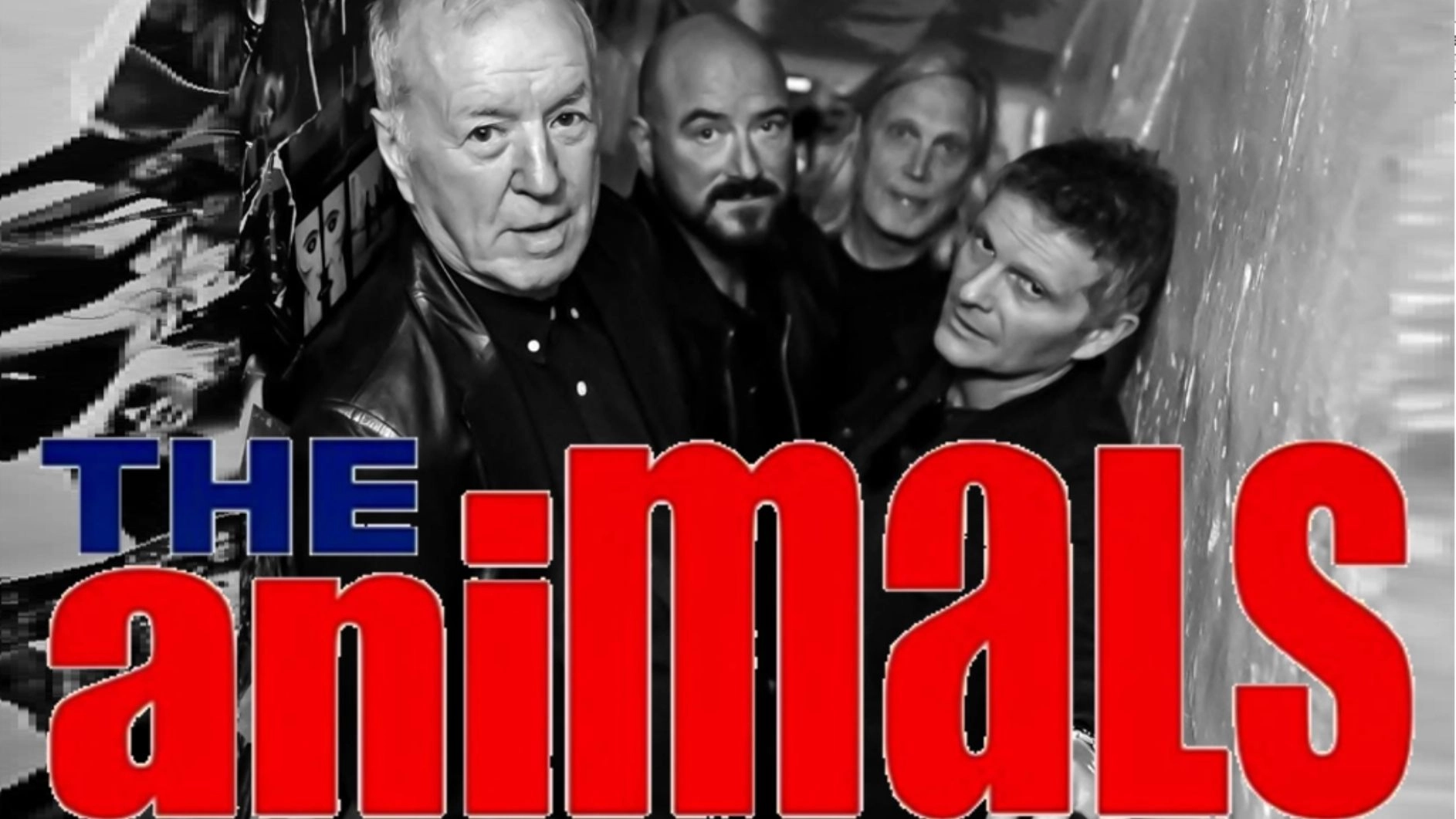 Konsert med The Animals