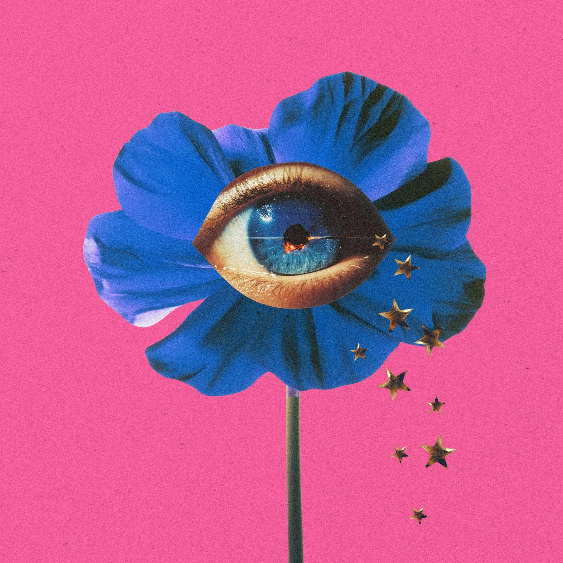 Collage Club