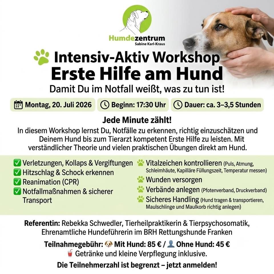 Intensiv-Aktiv-Workshop: Erste Hilfe am Hund