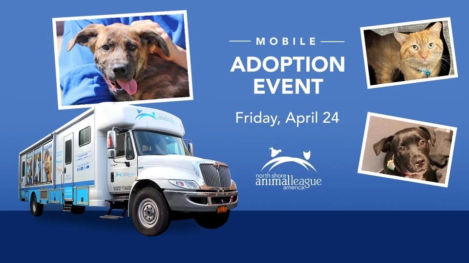 Mobile Pet Adoption Event! Meet Adoptable Dogs, Cats, Puppies, & Kittens