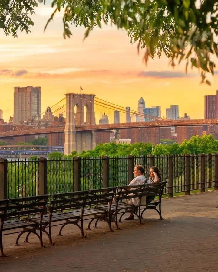 Brooklyn Bites & Brownstones Crawl - Founders, Creatives, Builders, Researchers, Supporters