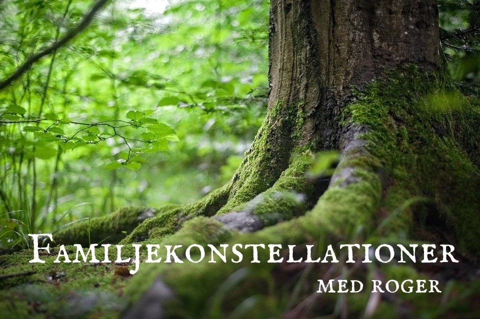 Family konstellation/ Zen Coaching 2026