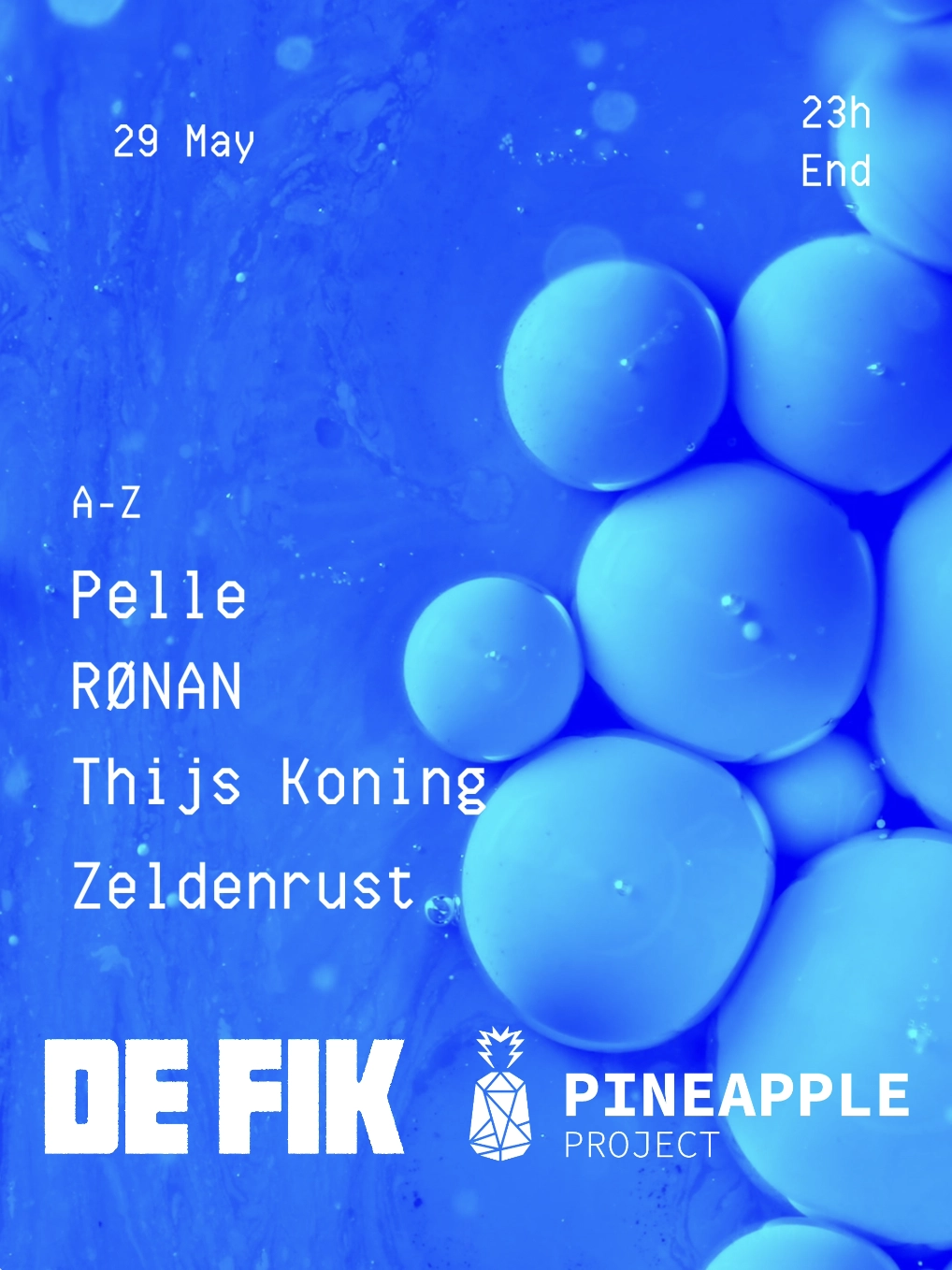 Pineapple Project