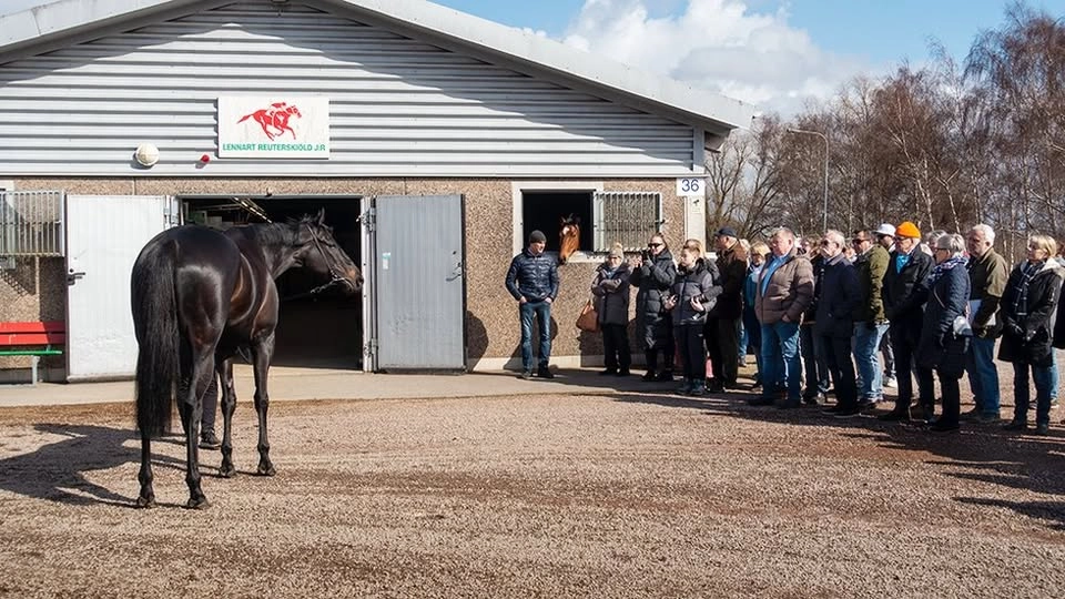 Stallrunda inför säsongen